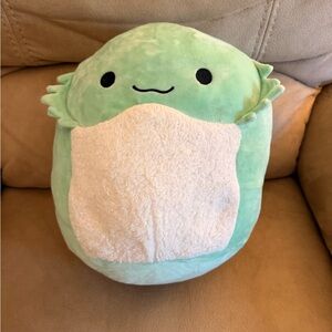 Abe The Bearded Dragon